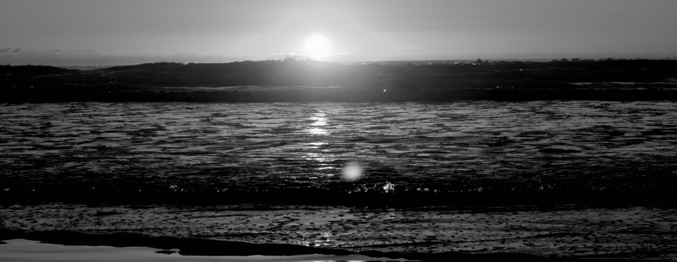 cc攻击免费网页版